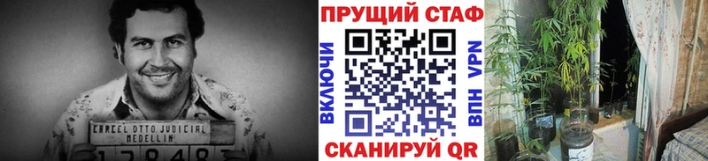 Купить Черняховск А ПВП  Героин  Бошки Шишки  OMG ссылка  ГАШ  Cocaine 