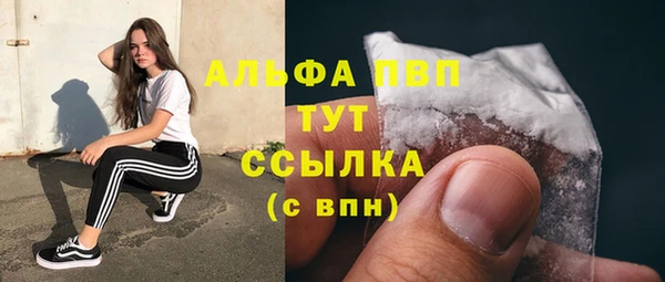 стафф Иннополис