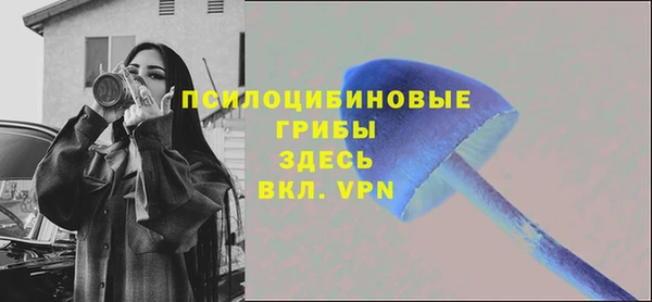 стафф Иннополис