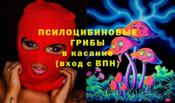 стафф Иннополис
