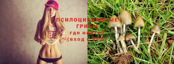 стафф Иннополис